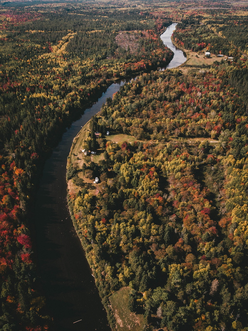 dji, land, non-urban scene, green, orange, aerial, water, tranquility, no people, scenics - nature, growth, drone, nature, trees, tree, plant, amazon, view