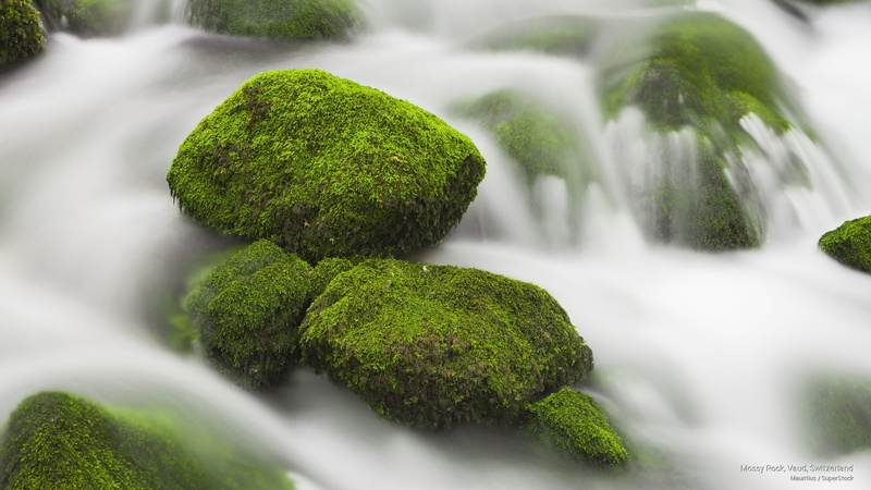 mossy, switzerland, Nature, vaud, rock, 2K