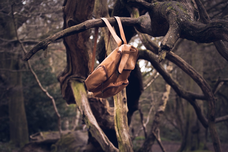 trunk, nature, branches, low angle view, land, backpack, women, focus on foreground, woods, plant, one person, branch, trees, bag, forest, leather, hanging