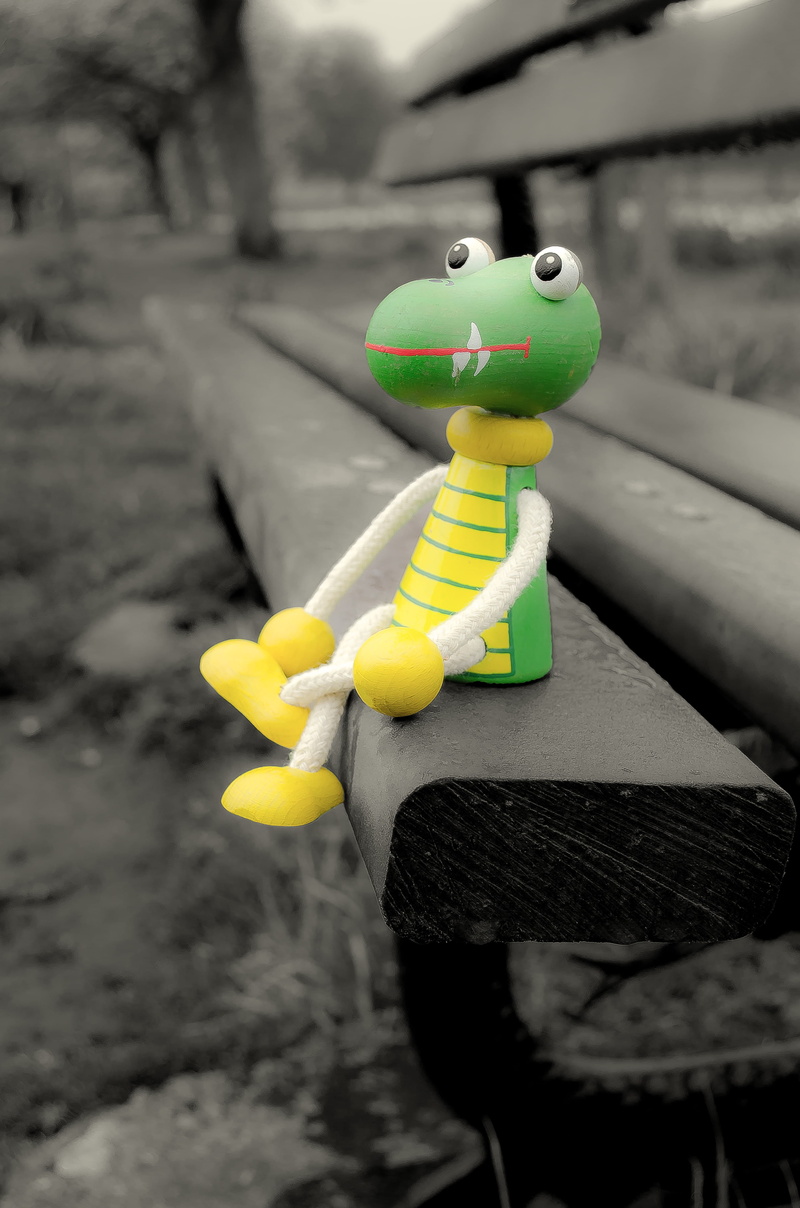 Wood, representation, creativity, Crocodile, sad, abandoned, day, park, outdoors, alone, rubber duck, Toy, Lost, selective focus, close-up, focus on foreground