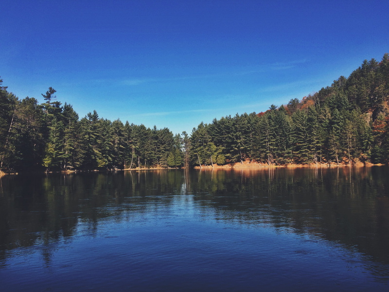 non-urban scene, nature, water, no people, plant, growth, this, camping, beauty in nature, found, forest, woods, waterfront, happy, day, lake, tranquility