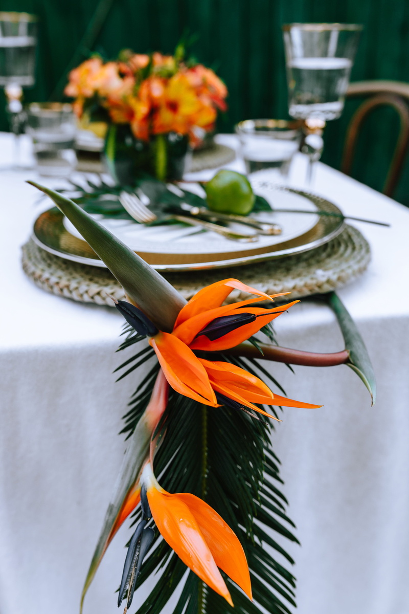 food and drink, glass, multicolor, plate, flowering plant, Exotic, flower arrangement, no people, orange color, dinner, decoration, petal, setting, fragility