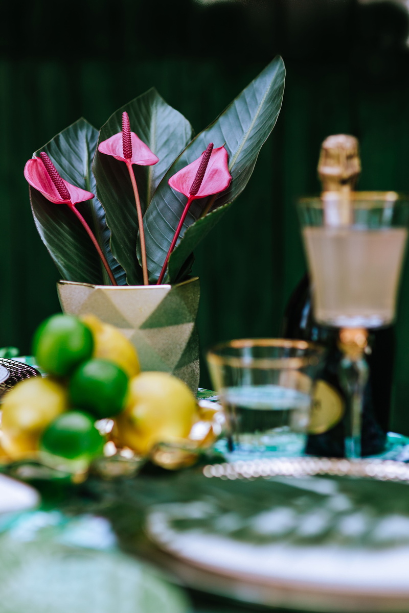 leaves, tropical, no people, 5K, fragility, selective focus, arrangement, green color, glass, drink, flower, food, plant, flower head, flora, vulnerability