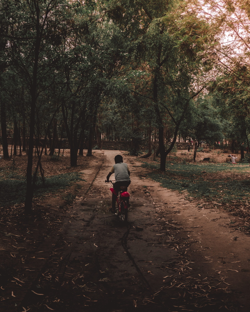 lifestyles, tree, real people, un, green, day, bicycle, rear view, cycling, 4K, full length, outdoors, park, leaves, land, patan, child, way, mode of transportation