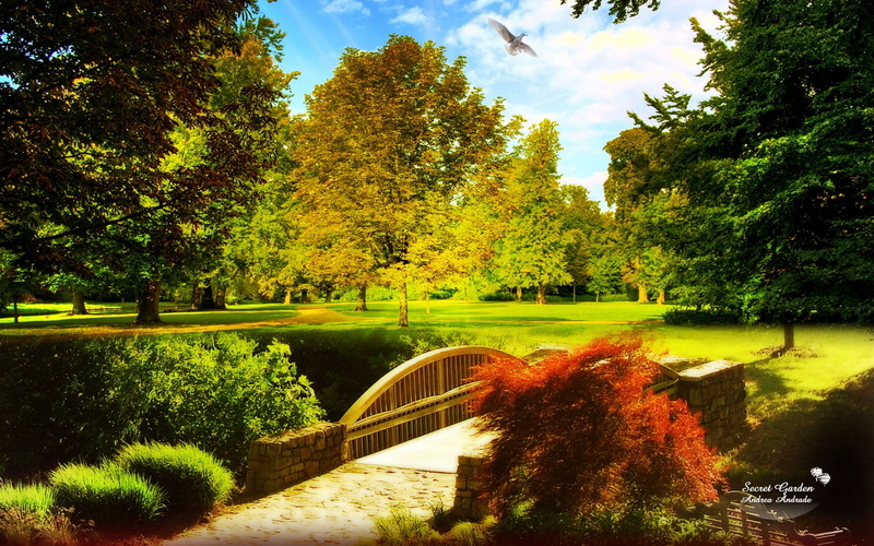 secret, nature, bridge, hd, grass, trees, 720P, color, garden