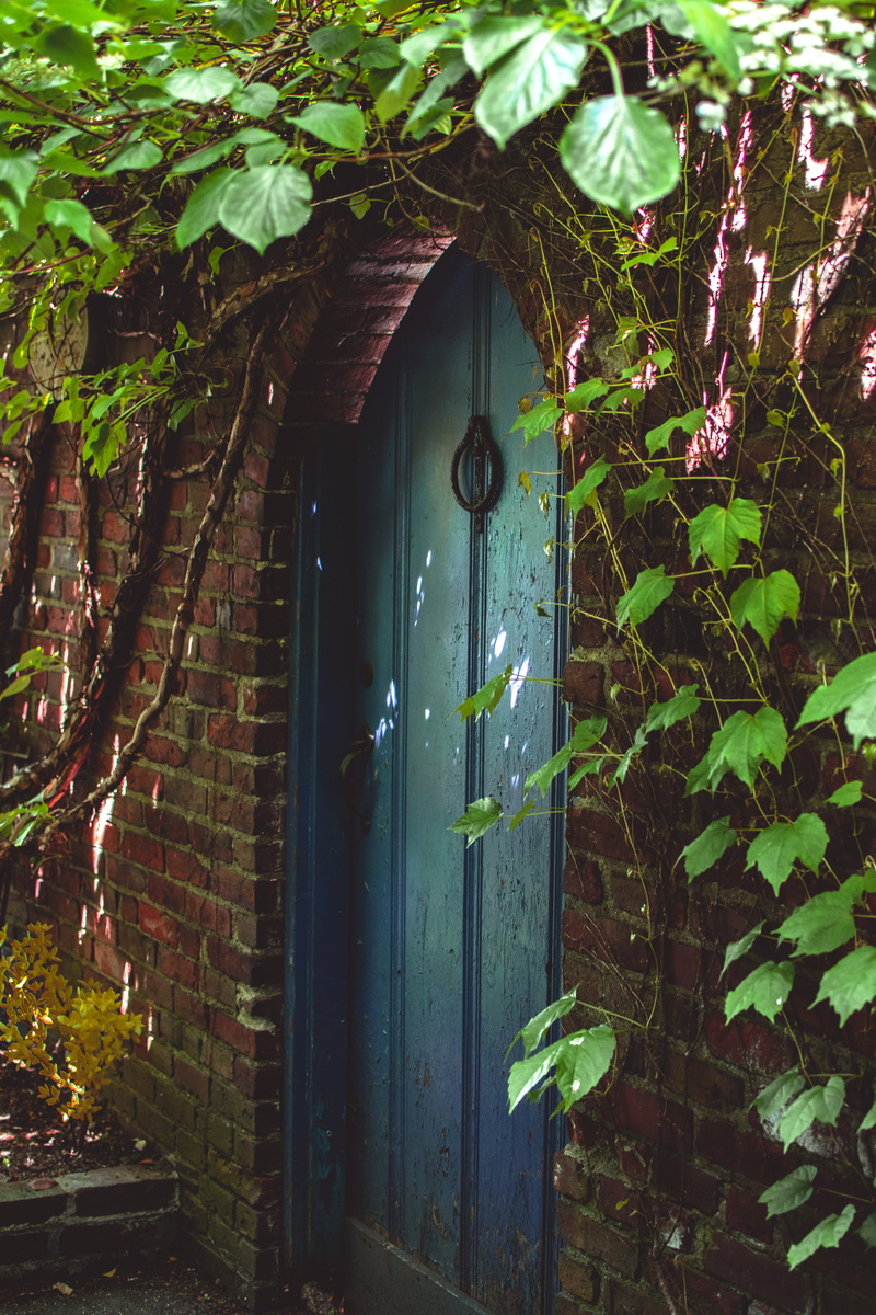 building exterior, plant, 5K, day, entrance, wood - material, door, leaf, magic, united states, architecture, growth, ivy, outdoors, green color, built structure