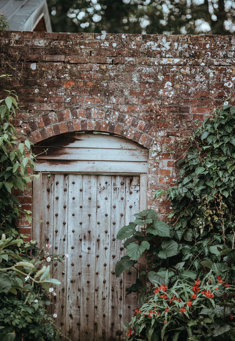growth, closed, plant part, brick, 4K, leaf, wooden, tree, green color, building, old, nature, outdoors, architecture, built structure, secret garden