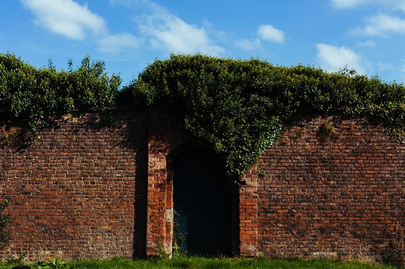 secret, brick, wall, locked, green, 5K, day, fence, built structure, gateway, tree, plant, architecture, brick wall, building, brown, door, field, bricks