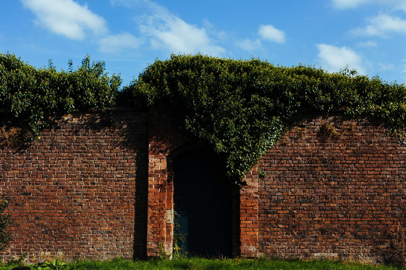 building, house, locked, growth, bricks, gateway, sky, brick, building exterior, garden, built structure, brick wall, history, outdoors, architecture, secret