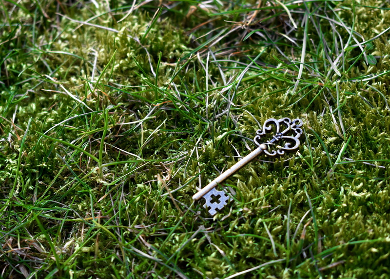 ian tuck, focus on foreground, field, the secret garden, wand, grass, green color, metal, skeleton, close-up, blade of grass, garden, selective focus, color