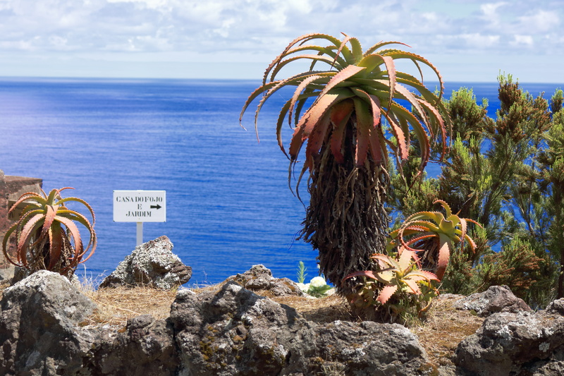 azores, sea, scenics - nature, tranquil scene, trail, cloud - sky, horizon, comanche, water, outdoors, nature, day, solid, sky, plant, são miguel, rock - object