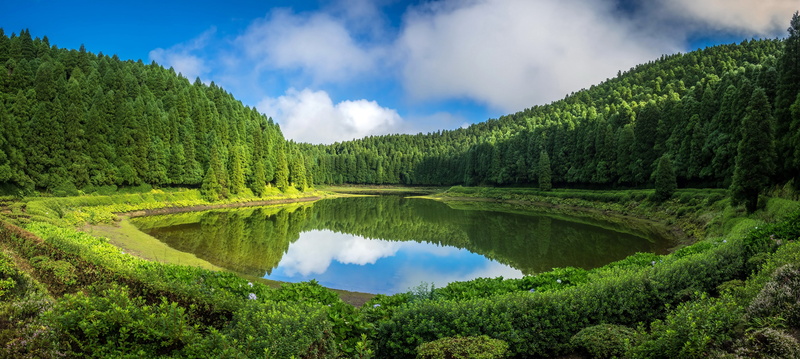 springtime, day, water, tranquil Scene, valley, Portugal, pine woodland, sunlight, greens, park - Man Made Space, panoramic, Sao Miguel, national Landmark