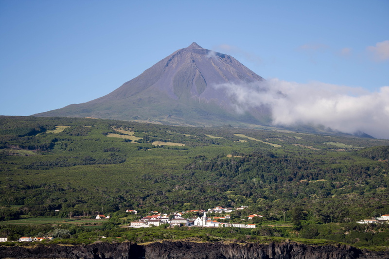 tree, volcano, outdoors, idyllic, landscape, beauty in nature, azores, land, environment, scenics - nature, nature, comanche, the island of pico, day, pico mountain