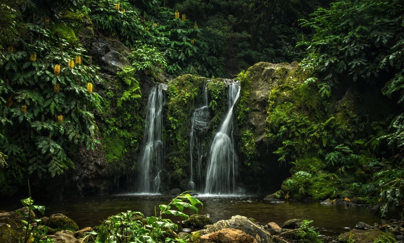 1080P, Forest, Rock, Azores, Waterfalls, Waterfall, Portugal, Earth, Green