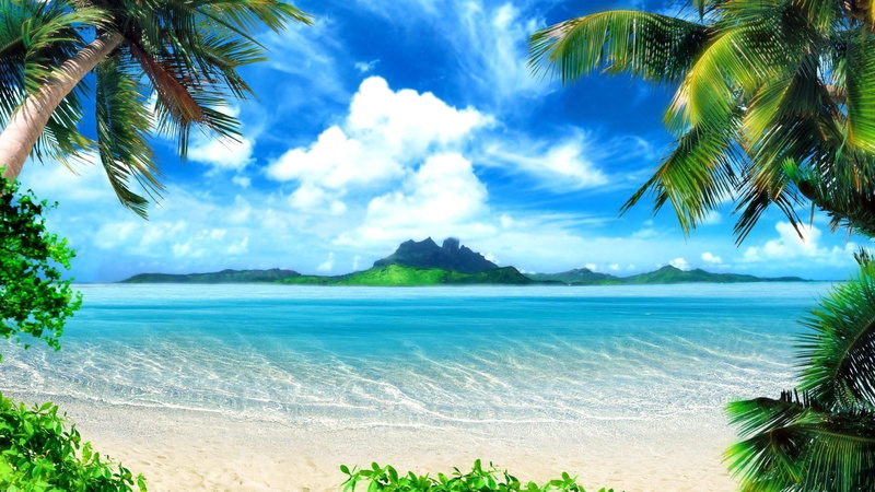 solarly, beach, island, palm trees, frame, sun, outdoors, sand, land, scenics - nature, sea, cloud - Sky, resort, travel, relaxation, journey, tree, sky