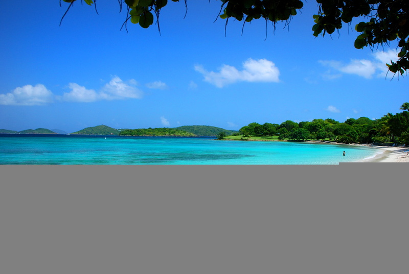 tree, sunlight, cloud - Sky, land, scenics, tourist Resort, seychelles, sand, horizon over water, island, 2K, lagoon, beach, summer, no People, transparent