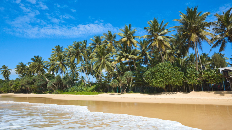 sunlight, cloud - Sky, wave, day, land, sky, vacations, maldives, growth, no People, travel, sunny, trees, lagoon, travel Locations, blue, exoticism, outdoors
