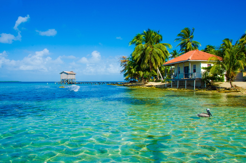 tourist, island, lifestyles, no People, palm, hotel, waterfront, exoticism, bird, holiday Villa, palm trees, sunlight, architecture, bungalow, vacations
