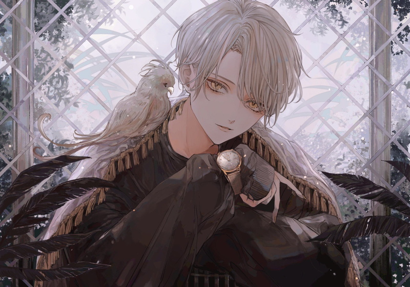 watch, blonde, birds, feathers, yellow eyes, window, Male, 1080P
