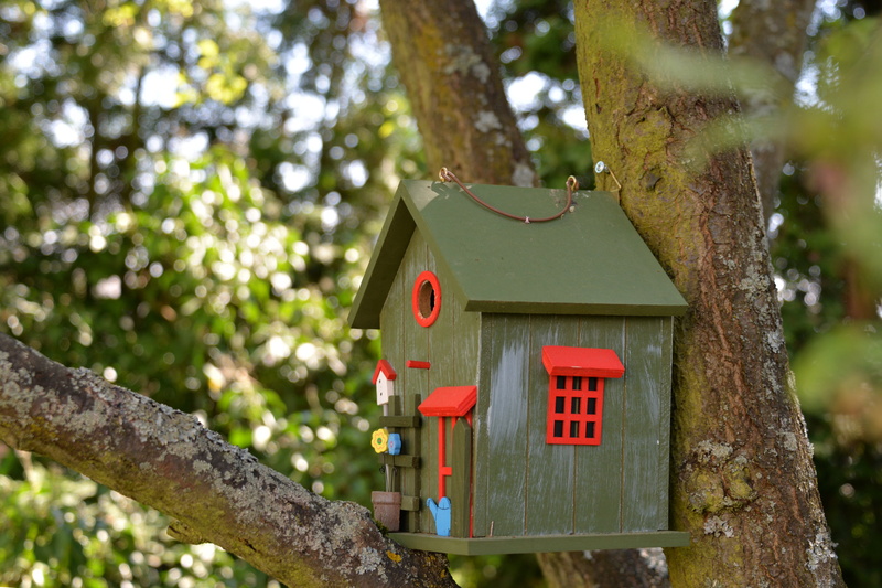 tree trunk, focus on foreground, red, branch, built structure, nest, bird feeder, home, trunk, 5K, colored, no people, gray, nature, build, colorful, day