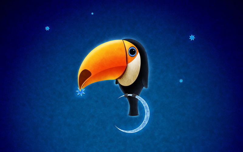 bird, toucan, 2K