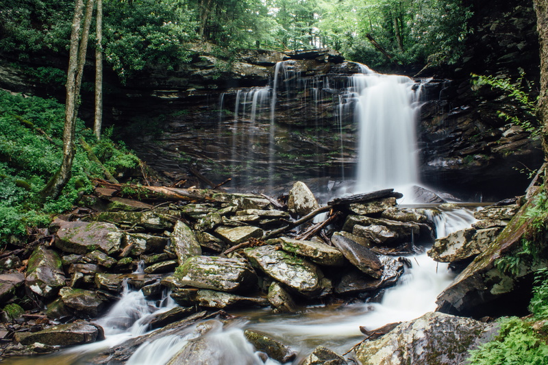 forest, falling water, trees, adventure, wilderness, united states, waterfall, scenics - nature, no people, flowing water, plant, creek, rock, stream - flowing water
