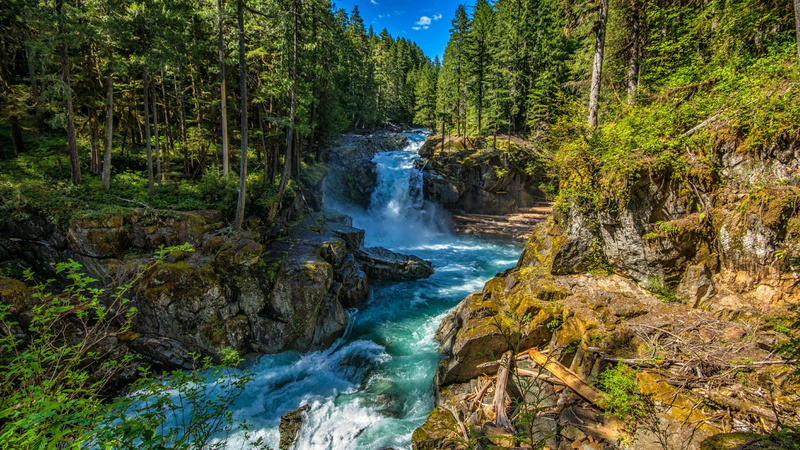 outdoors, motion, flowing water, tranquility, flowing, plant, land, united states, water, solid, mount rainier national park, silver falls, beauty in nature