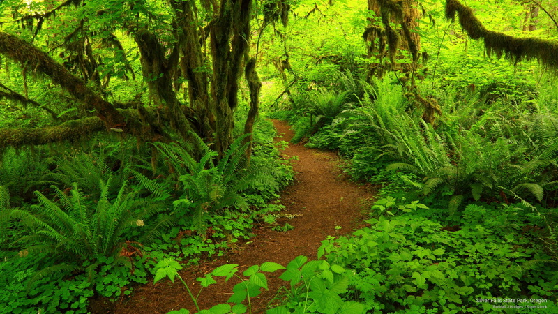 oregon, silver, park, state, Nature, 2K, falls