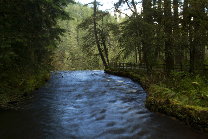 2K, river, fence, path, trees, Silver Falls State Park, Oregon, for, USA, waterfall, forest