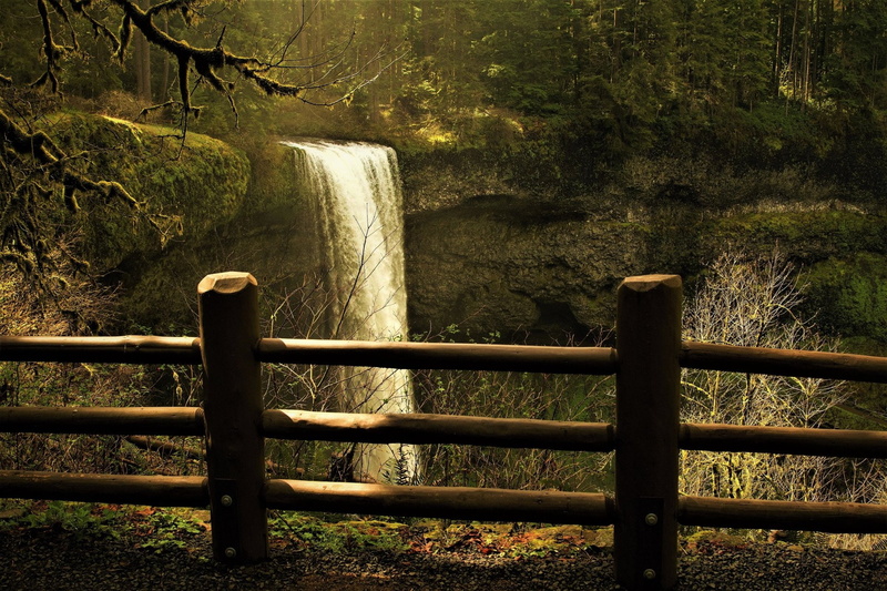 1080P, Silver Falls State Park, Silver Falls, Earth, Waterfalls, Fence, Forest, Waterfall
