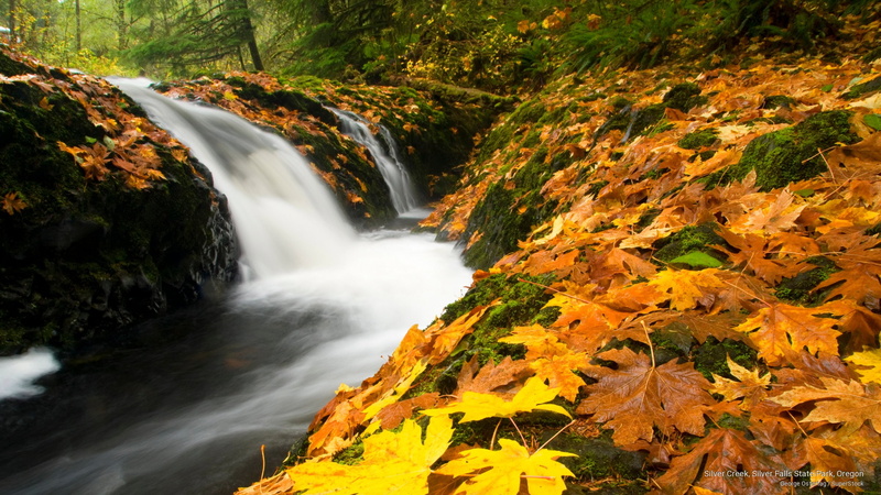 falls, state, creek, oregon, park, 2K, silver, Waterfalls