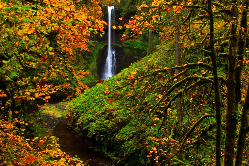 state, autumn, falls, waterfalls, 1080P, parks, park, silver, usa, nature
