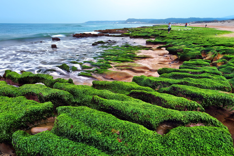 sky, reef, 海岸, beside, USM, 石門, clear, field, nature, f4L, Canon, 岩岸, green, shore, green leaves, TAIWAN, blue, seashore, leaves, 720P, sea, outdoors
