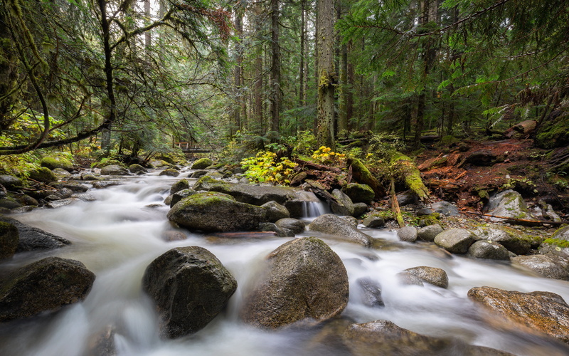 waterfall, tree, brown, forest, outdoors, long exposure, trees, water, scenics, 35mm, 4L, Deception, photography, Let It Go, green, running, Pacific Northwest