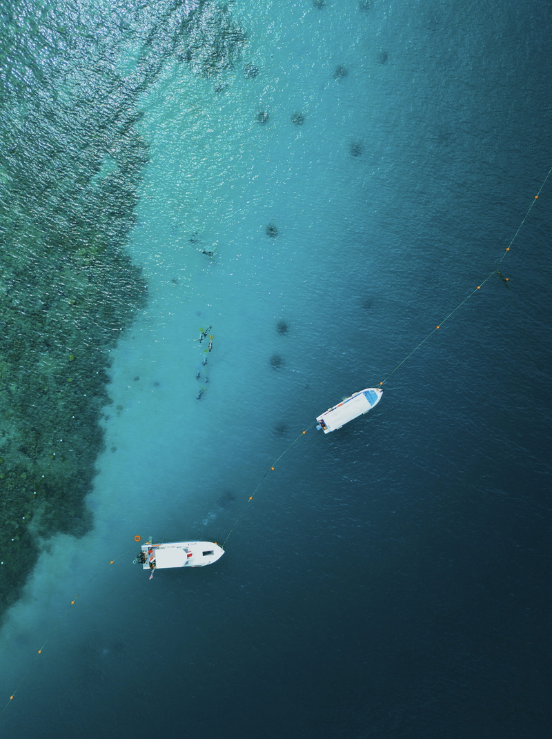 topdown, docked, dive, motor, island, waterfront, calm, high angle view, boat, paradise, clear, aerial view, drone view, two, float, diving, holiday, beauty in nature