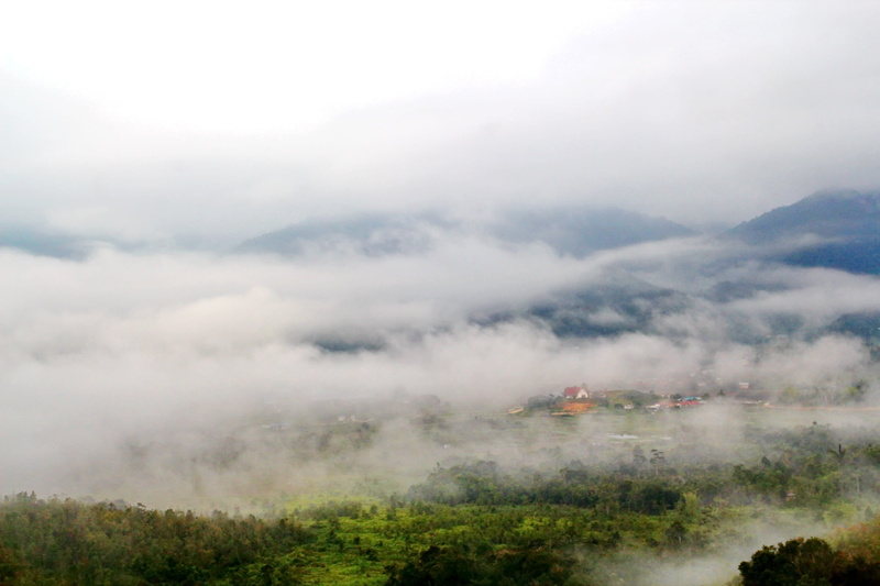 mountain, 5K, forest, no people, tranquil scene, tranquility, tree, mountain peak, scenics, mountain range, beauty in nature, travel, landscape, rainforest