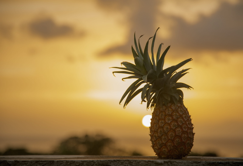 outdoors, single object, golden hour, freshness, tropical climate, beauty in nature, sunset, tropical fruit, 5K, food, caribbean, focus on foreground