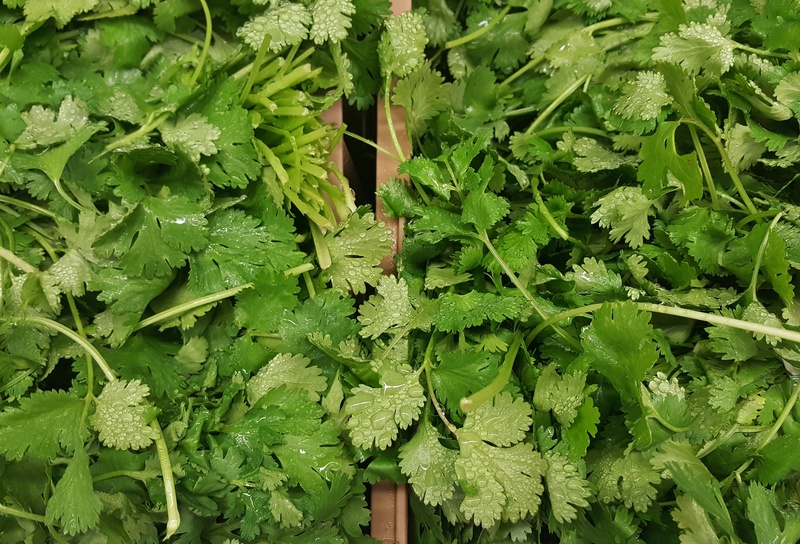 flavor, day, mexican cuisine, high angle view, produce, close-up, leaf, directly above, greens, full frame, green color, growth, plant part, cooking, market