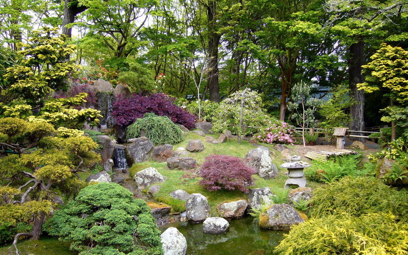 rock, 1920x1200, nature, park, small, green, plants, pond, 1080P, garden, waterfall, purple, tree, yellow, leafy