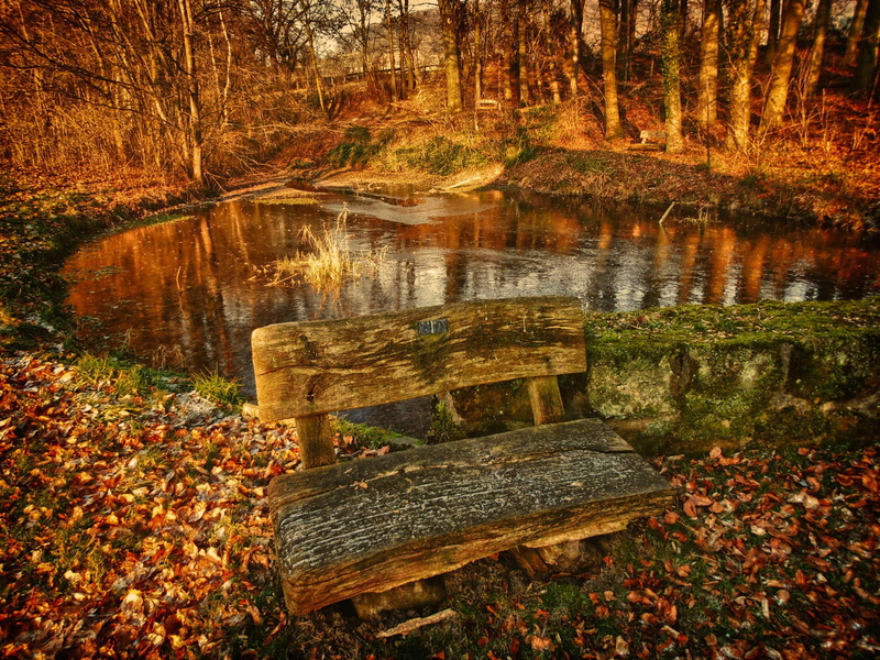 nice, bench, nature, rest, 3d and abstract, autumn, place, 2K