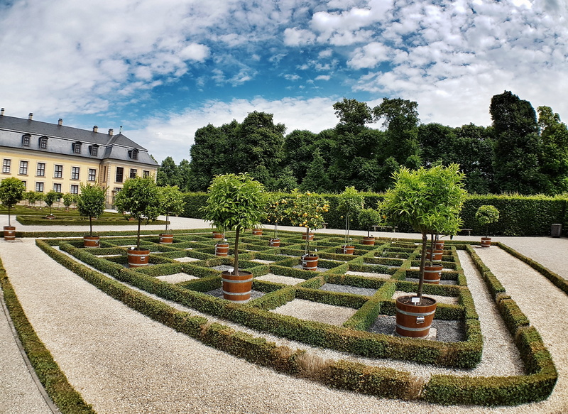 green color, sky, garden, building exterior, no people, growth, nature, sunlight, herrenhäuser gärten, outdoors, plant, royal, formal garden, hedge, park