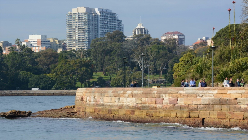 People, Harbor, Royal Botanic Gardens, Tree, 1080P, Sydney, Australia, Building, Cities