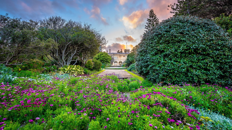 botanical garden, park - man made space, flower, tree, cloud - sky, beauty in nature, sydney, plant, australia, front or back yard, outdoors, bushes, ornamental garden