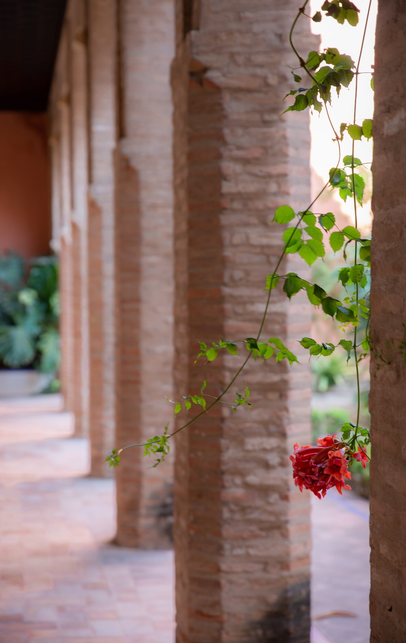 built structure, beauty in nature, red, architectural column, garden, alcazar, in a row, 5K, flowering plant, potted plant, spain, summer, no people, sevilla