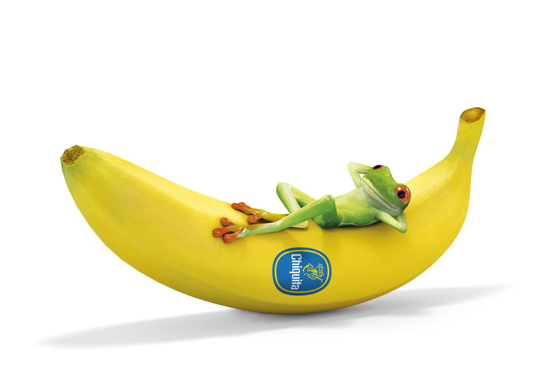 healthy eating, white background, fruit, copy space, cut out, wellbeing, banana, frog, still life, food and drink, spice, green color, 2K, indoors, ripe