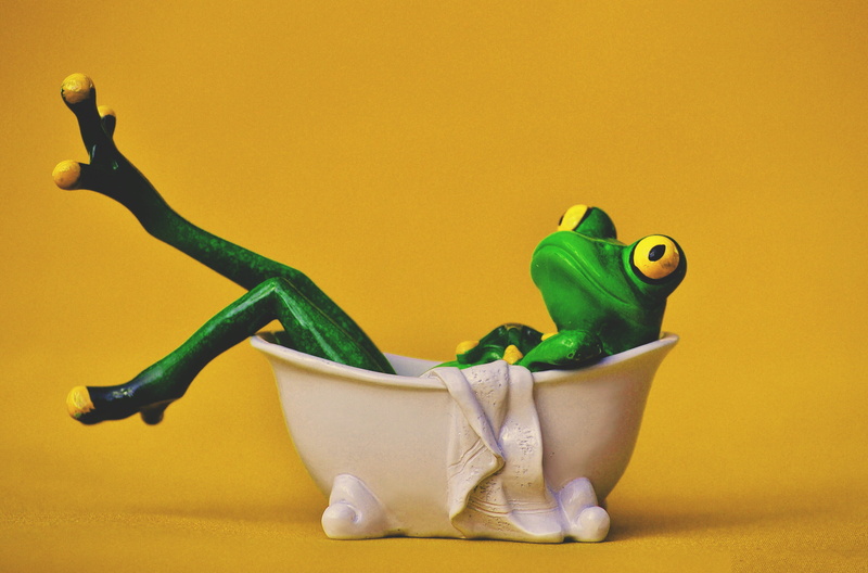 Frog, toy animal, close-up, indoors, green Color, cleaning, still life, yellow, craft, yellow background, art and craft, colored Background, creativity