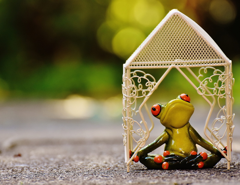 green, gray, yellow, rest, Pavilion, day, Yoga, creativity, decoration, no people, red, outdoors, concrete, park, Frog, romantic, tree, toy, Summer, selective