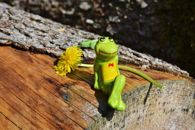 animal themes, toy, animals in the wild, 4K, still life, look, curiosity, frog, representation, log, animal wildlife, flower, animal representation, fig