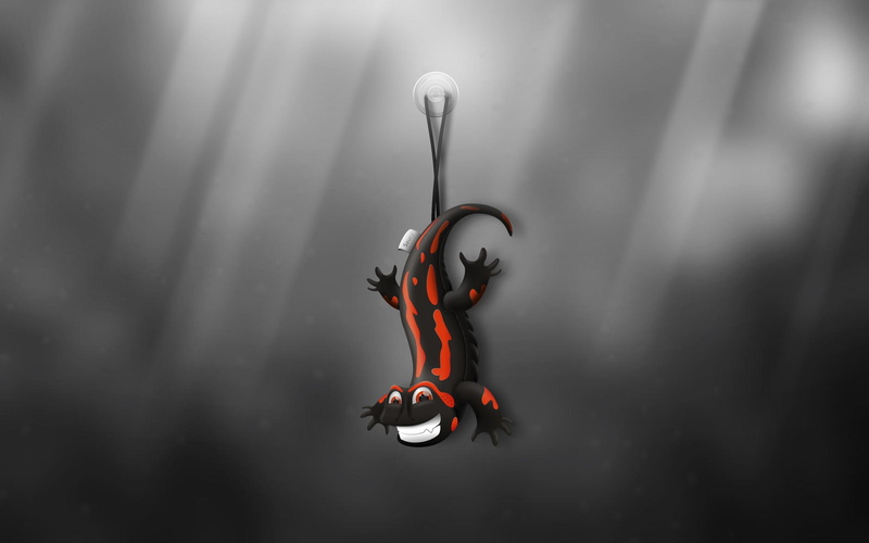 artwork, animals, 2K, gecko