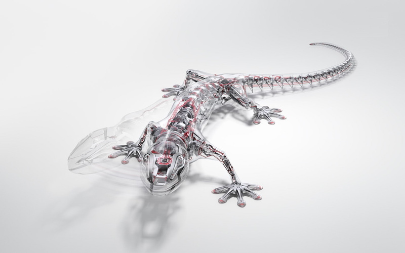 reptile, Robots, audi, gecko, x, 720P, lizards, animals, cars, art, hd
